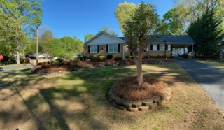 Curved stone-edged landscape bed with mature tree — C4 Landscaping