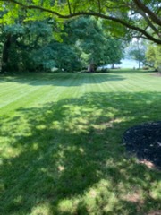Striped common-area lawn — HOA property maintenance by C4 Landscaping