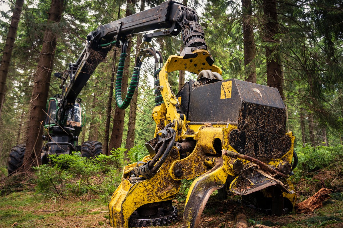 Land Clearing, Bush Hogging & Forestry Mulching — C4 Landscaping in Lawndale NC