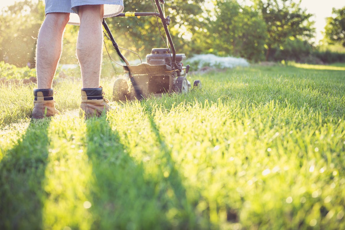 Lawn Care & Mowing — C4 Landscaping in Lawndale NC
