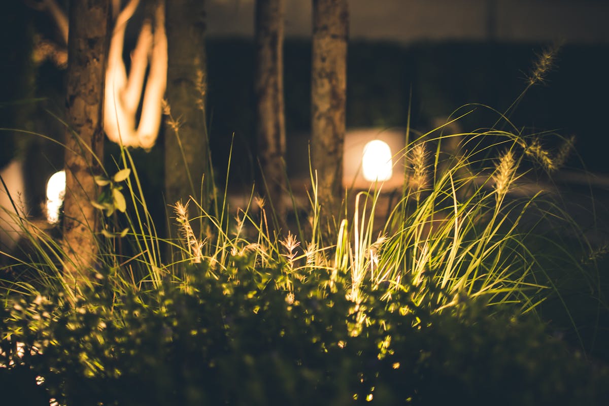 Outdoor Lighting — C4 Landscaping in Lawndale NC