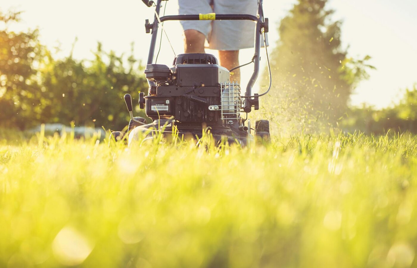 Lawn Care & Mowing
