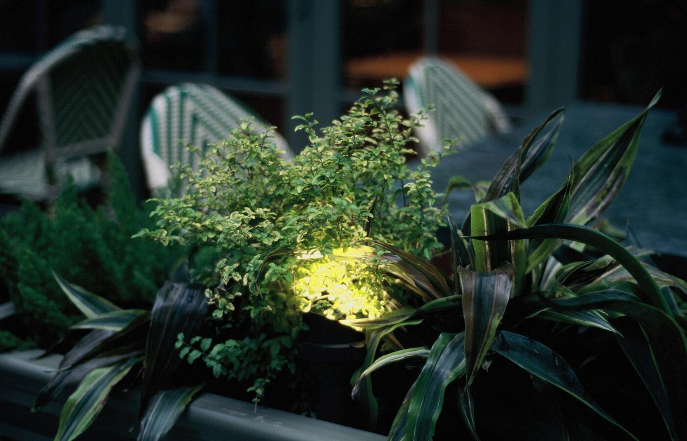 Outdoor Lighting